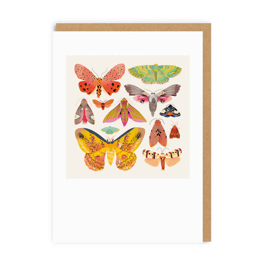 Moths & Butterflies Card